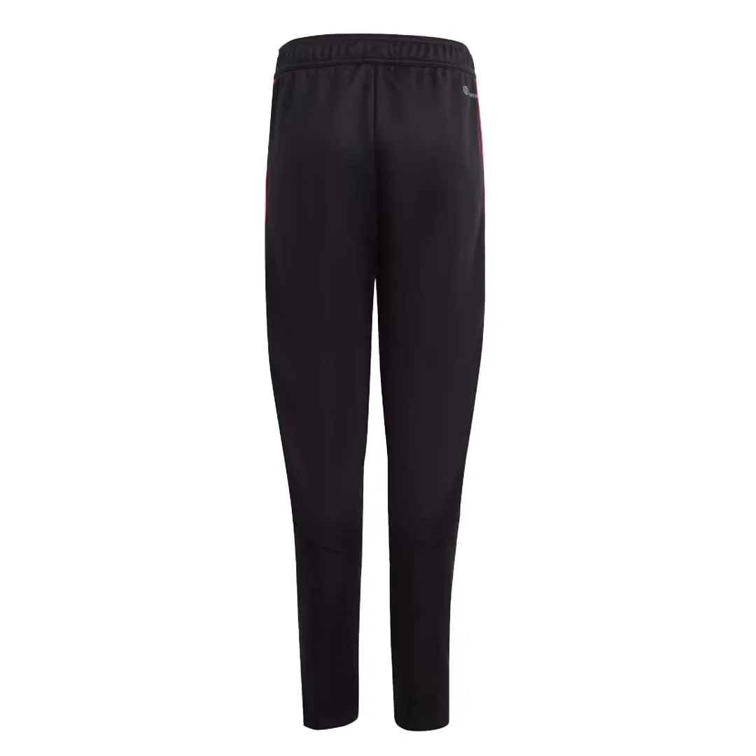 Adidas Junior Pogba Training Track Pants for Kids - Comfortable, Stylish, and Performance-Driven (HS0545)